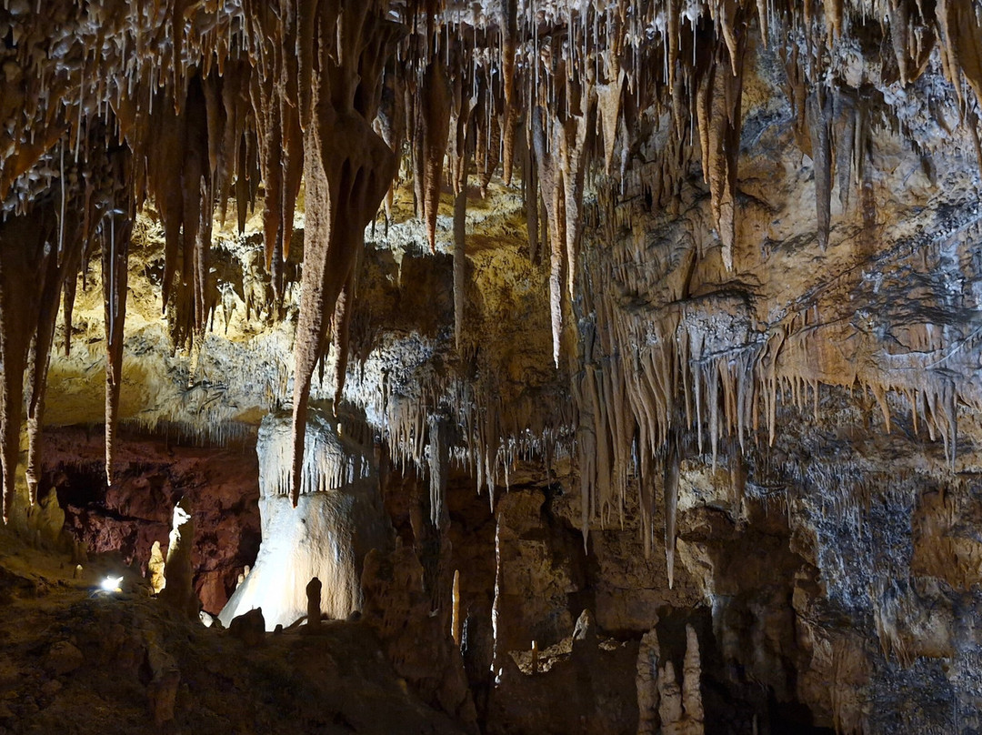 Grotte de Foissac-Foissac必去景点