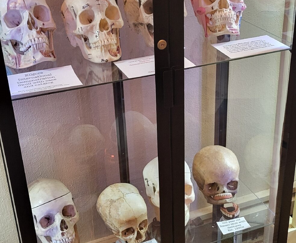 The Mourning Museum-Niles必去景点