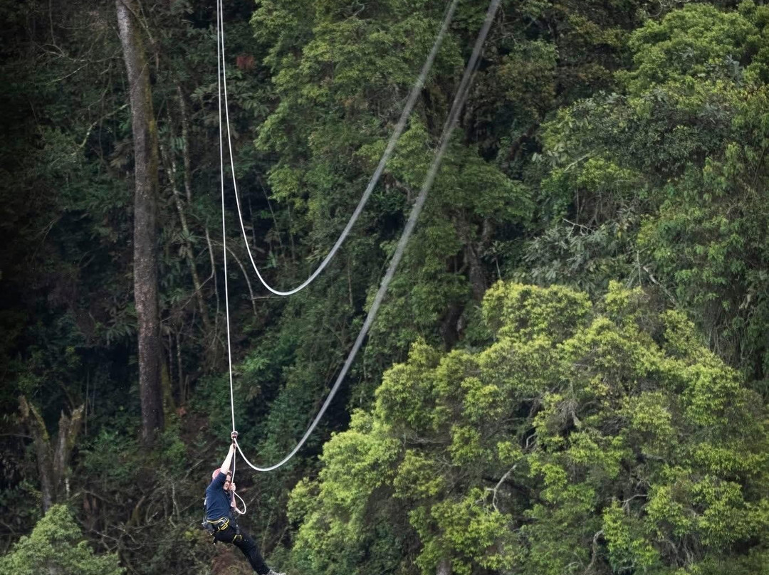 Nyungwe National Park - Rwanda-Western Province必去景点