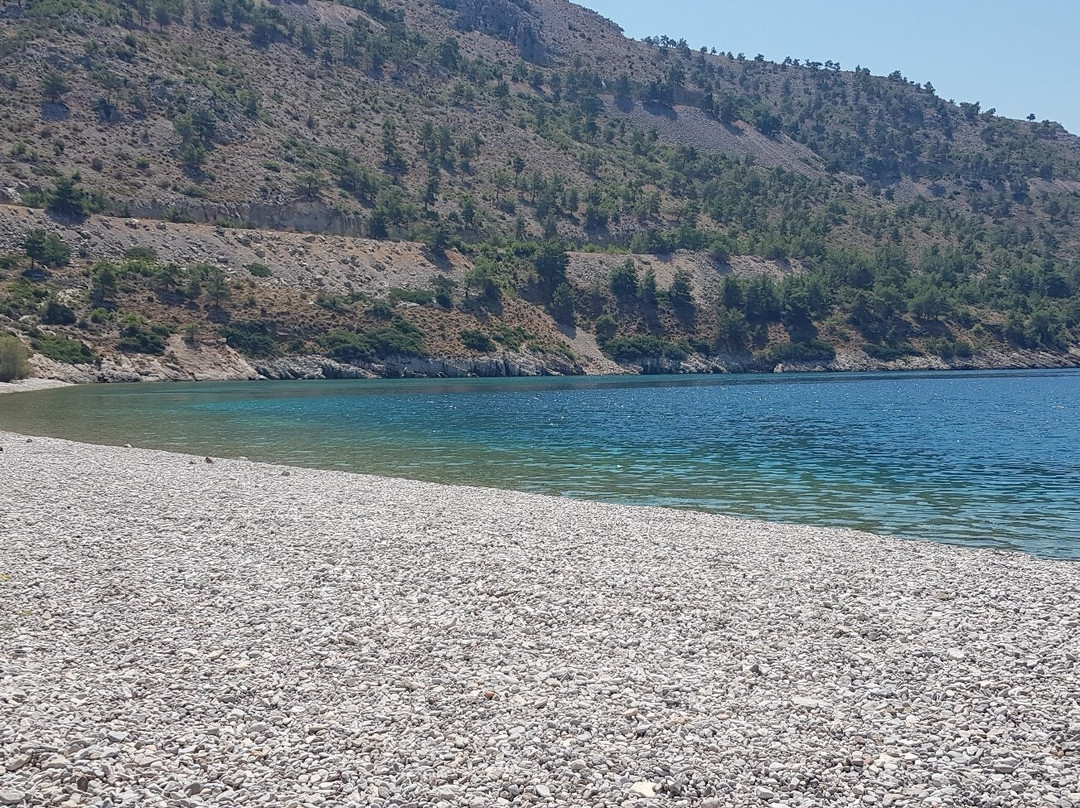 Elida Beach-Anavatos必去景点