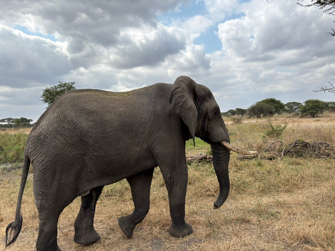 iTravel Safari & Expeditions-阿鲁沙必去景点