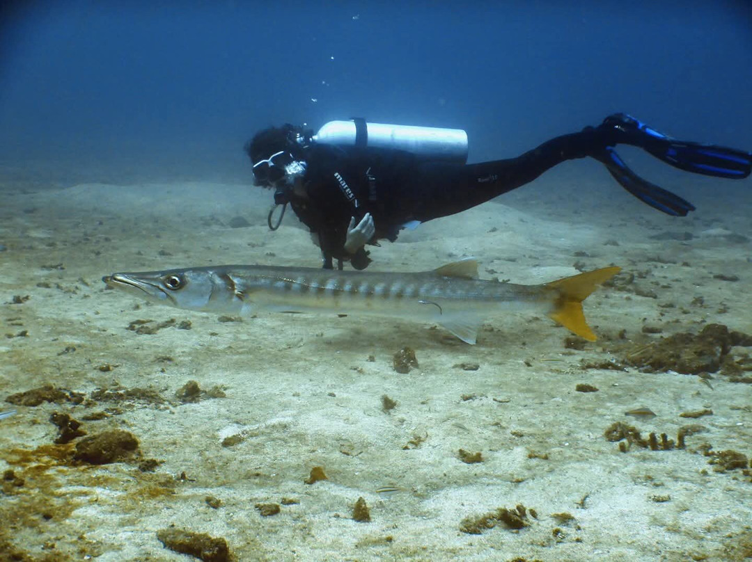 Ocean Lanka Dive Center Kalpitiya-卡尔皮蒂耶必去景点