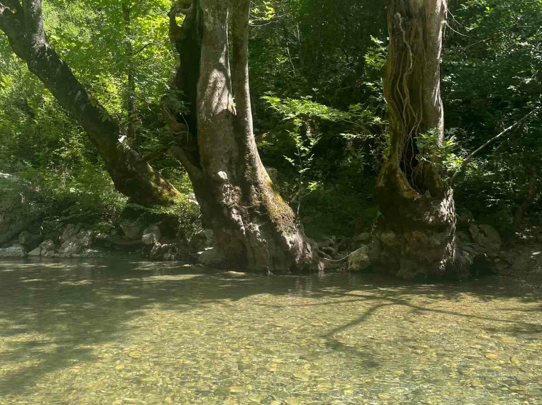 Via Natura-Kleidonia必去景点