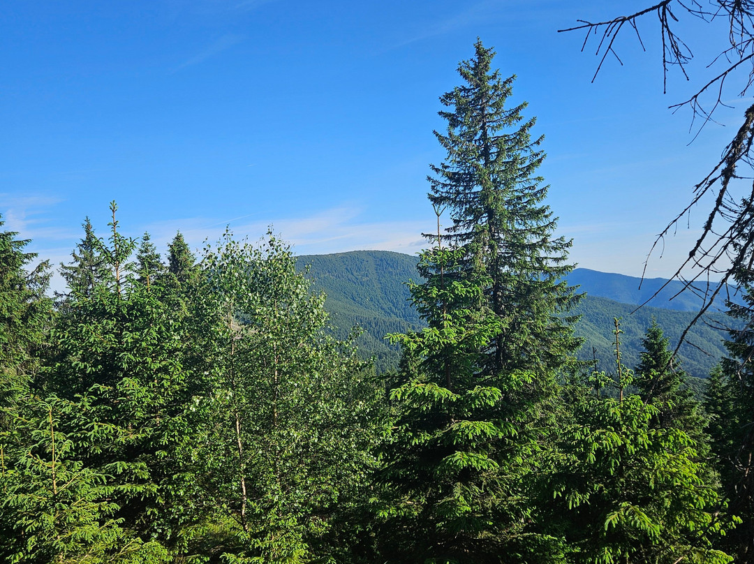 Four Seasons Hotel主图