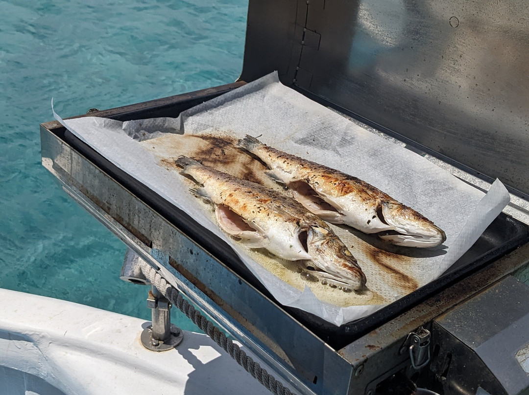 Promenades Du Golfe-维琪奥港必去景点