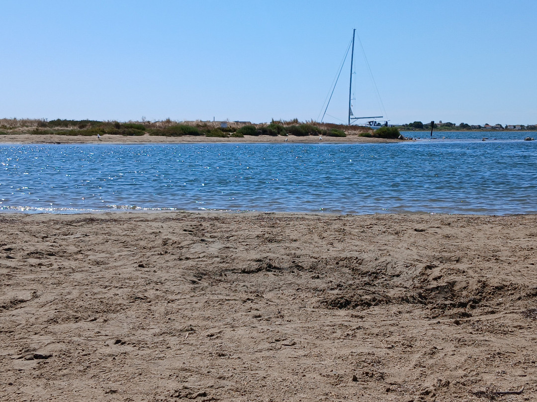 Plage Du Grazel-Gruissan必去景点