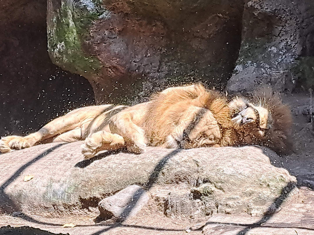 LADINAtour-登巴萨必去景点