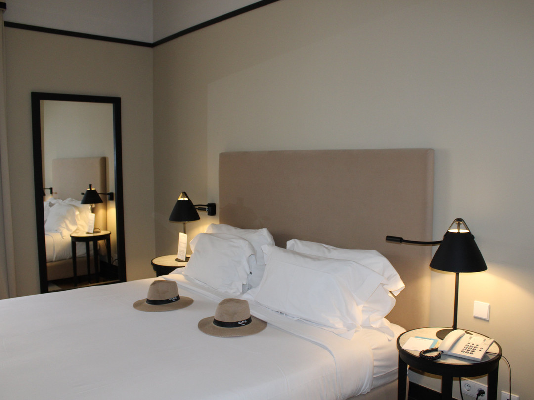 Octant Hotels Lousã主图