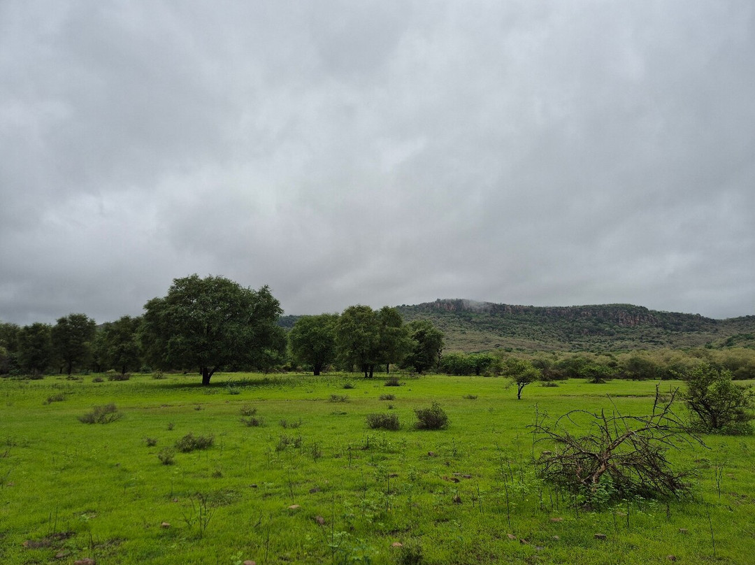 Ranthambore Tiger Safari-瑟瓦伊马托布尔必去景点