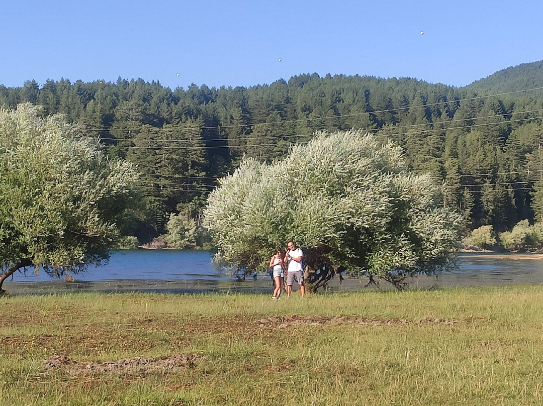 Lago Cecita-Spezzano della Sila必去景点