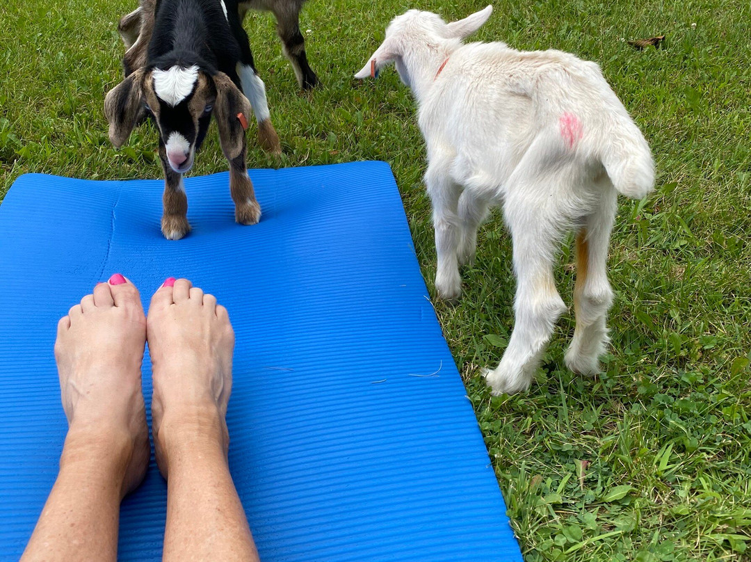 Wade House-Greenbush必去景点