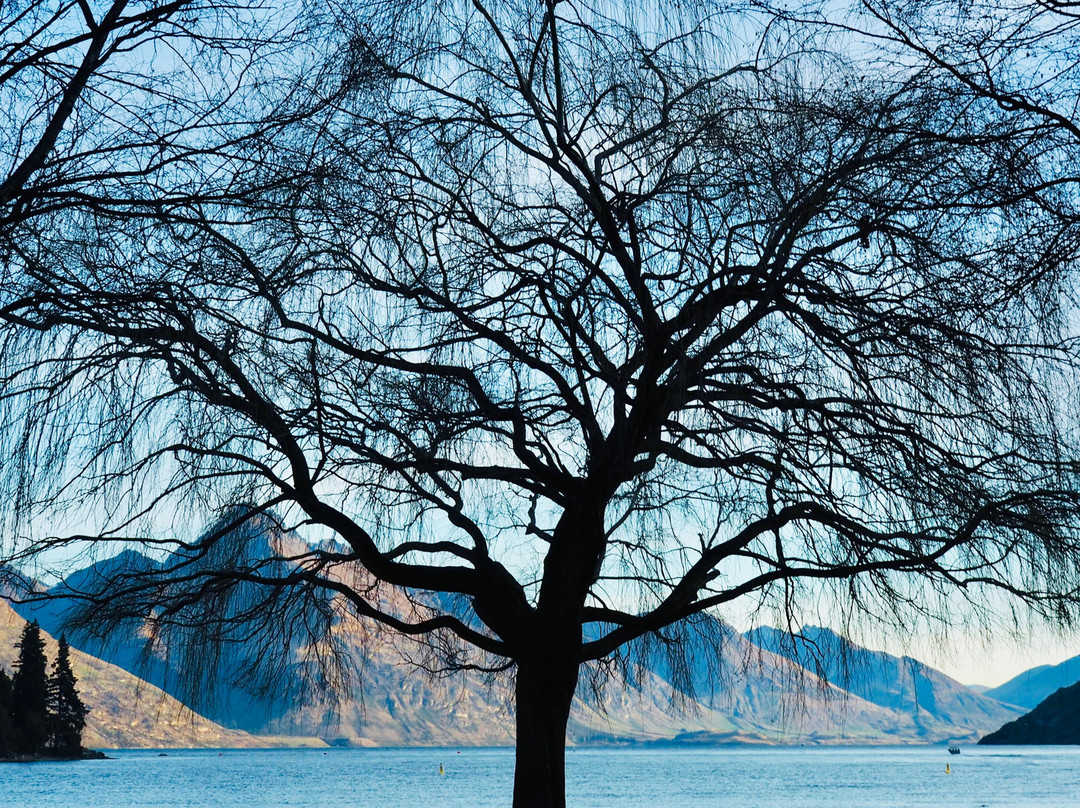 Artbay Gallery-皇后镇必去景点