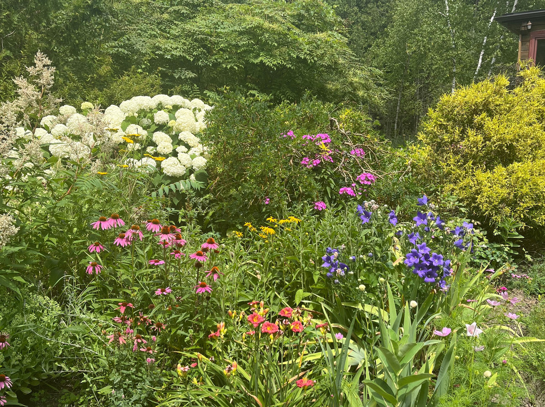 Vive Lavender Farm-Sunderland必去景点