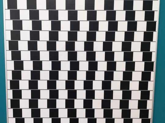 Museum of Illusions-维也纳必去景点