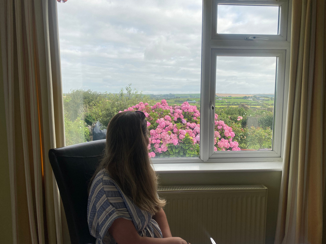 Sunville House主图