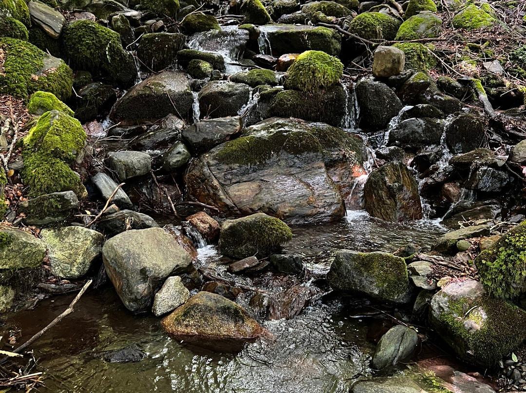 Valle de Carlac-Bausen必去景点