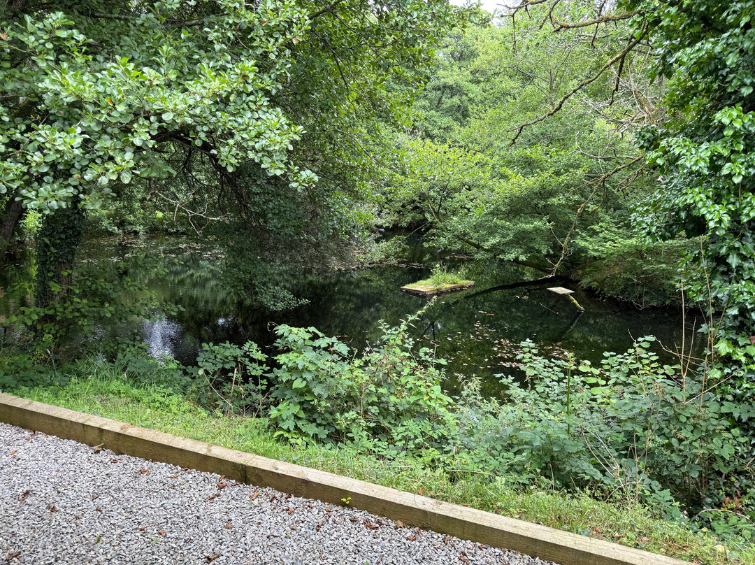 Turtley Corn Mill主图