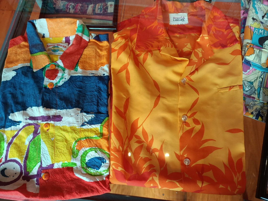 Fundação Casa de Jorge Amado-萨尔瓦多必去景点