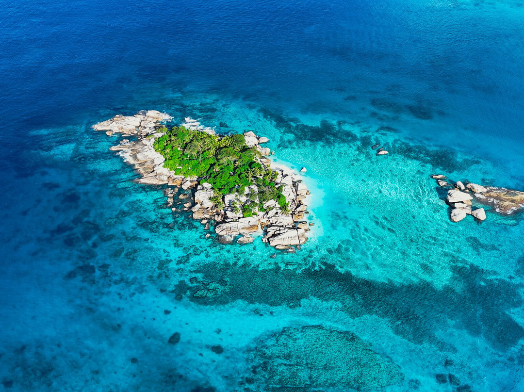 Château De Feuilles主图