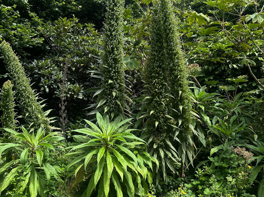 Hardy Exotics-彭赞斯必去景点