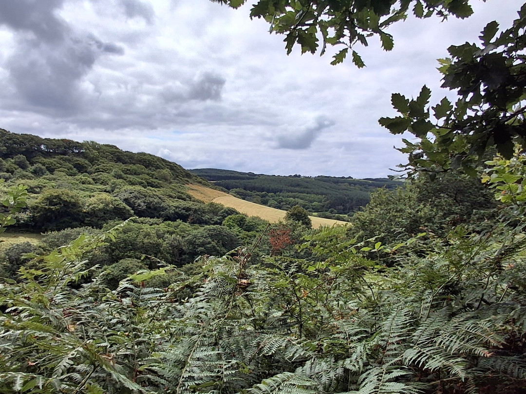Kilkhampton to Coombe Valley-Kilkhampton必去景点