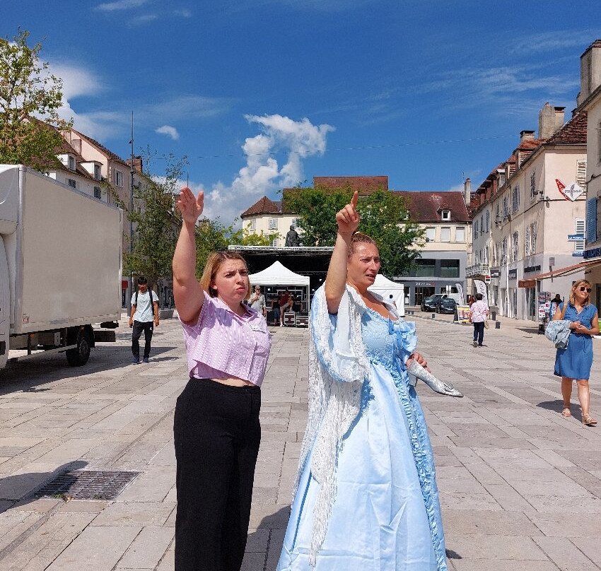 Visites Guidees de Lons-le-Saunier-隆勒索涅必去景点
