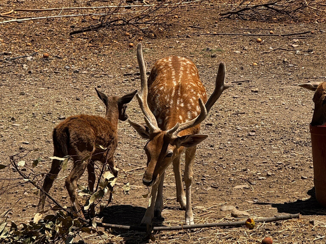 Botanical Park & Gardens of Crete-Omalos必去景点