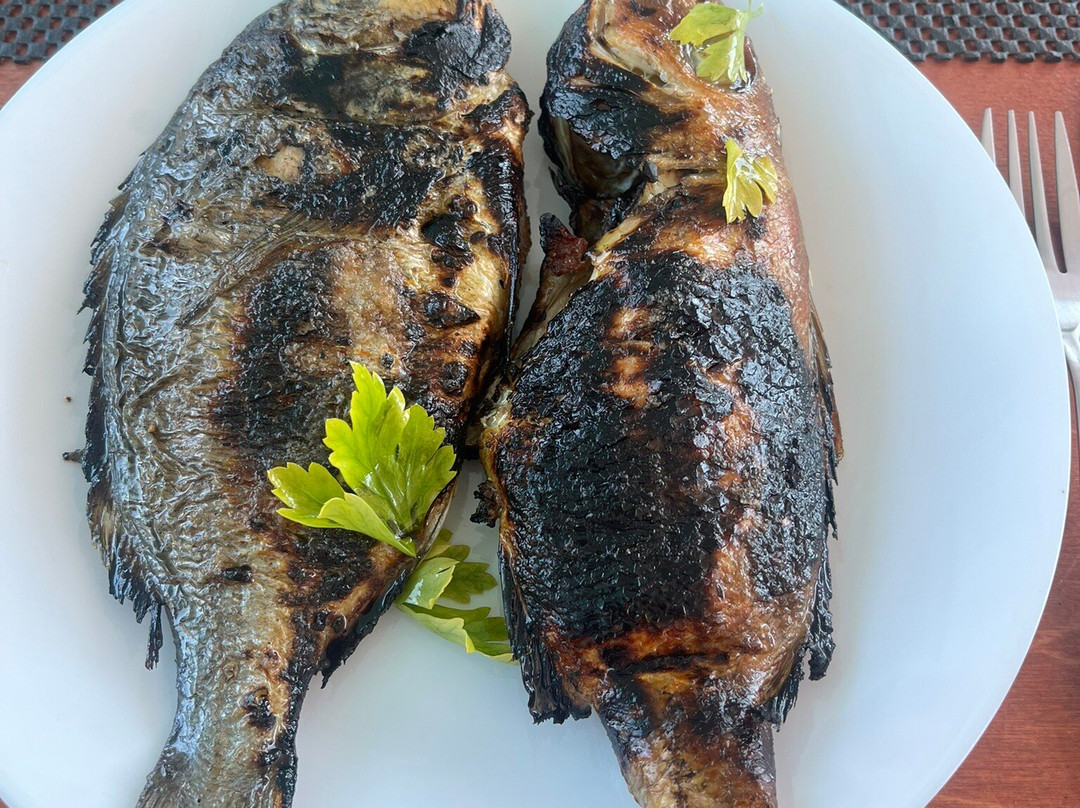 Let's Go Fishing -Chania Crete-Kolymbari必去景点