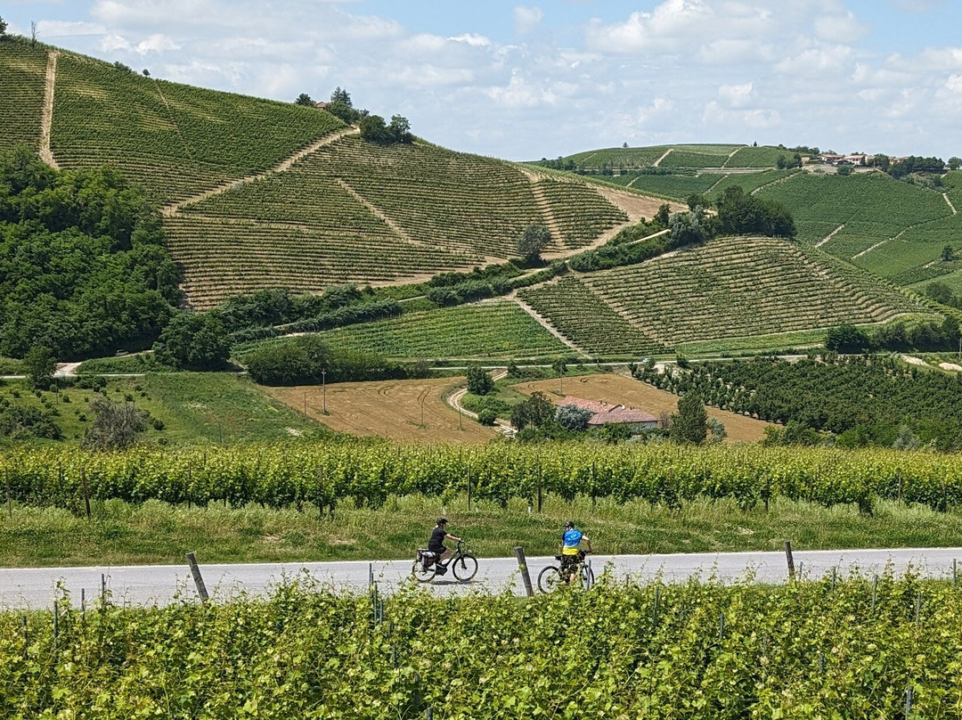 Ebike Acqui Terme-阿奎泰尔梅必去景点