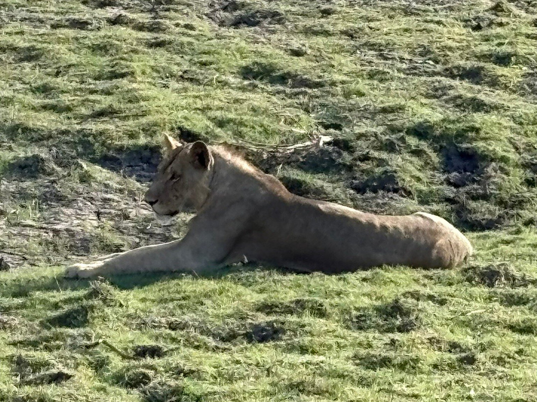 Cruize Wild Safaris-Iringa必去景点