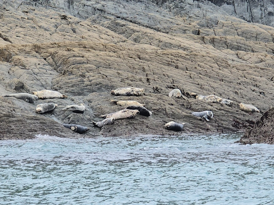 Ilfracombe Princess-伊尔弗勒科姆必去景点
