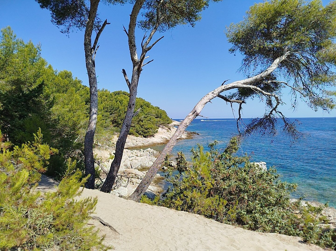 4x4 Agriates-Casta必去景点