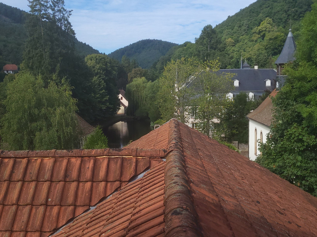 Hotel Des Vosges主图