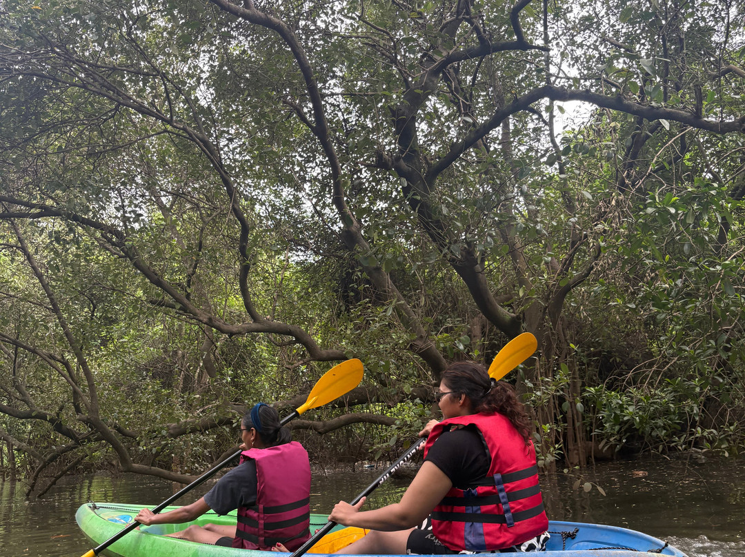 Local Goa Kayaking-Colvale必去景点