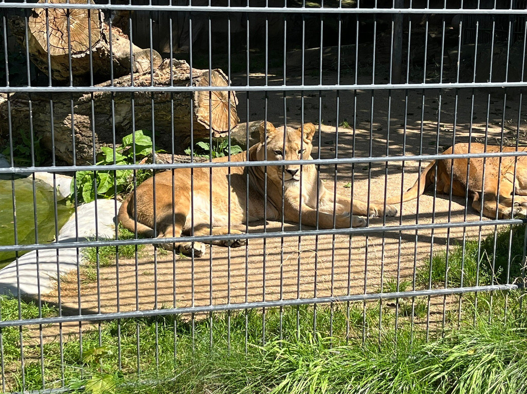 Zoo Neuwied-Neuwied必去景点