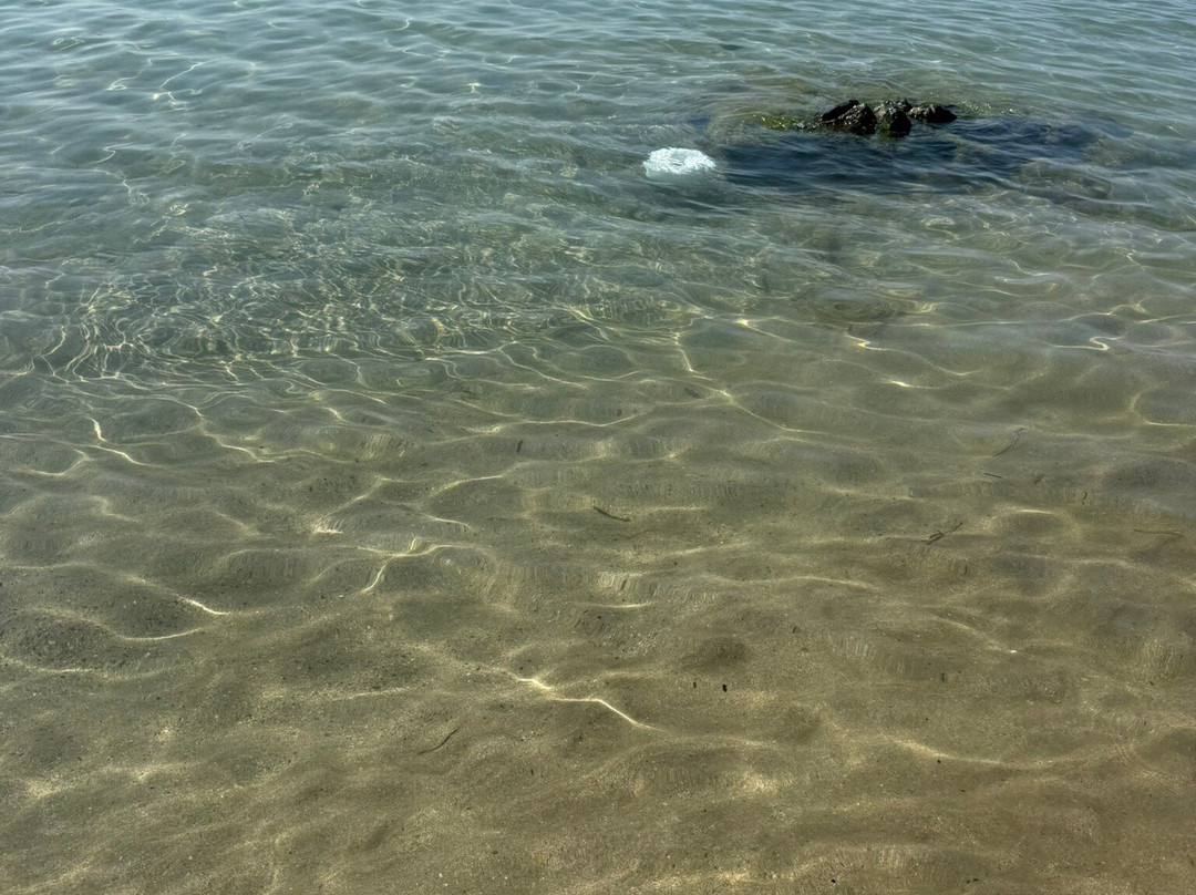 Stabilimento Balneare Perla del Tirreno-圣马里内拉必去景点