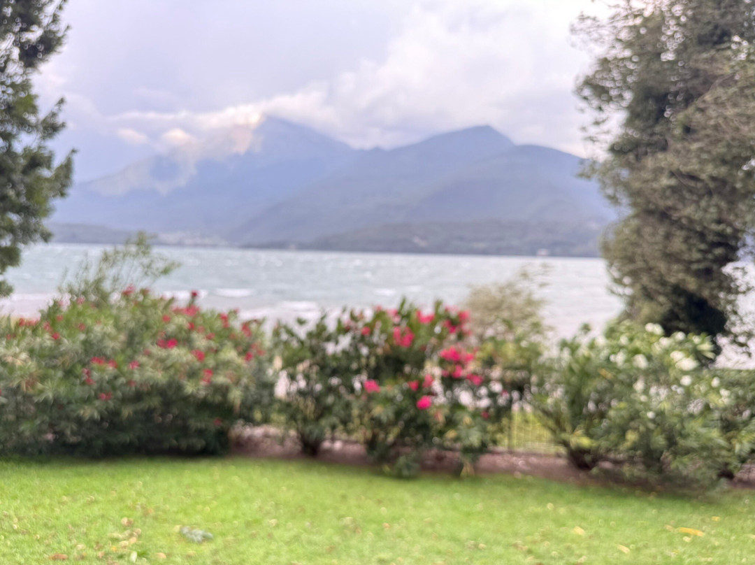 图利奥酒店主图