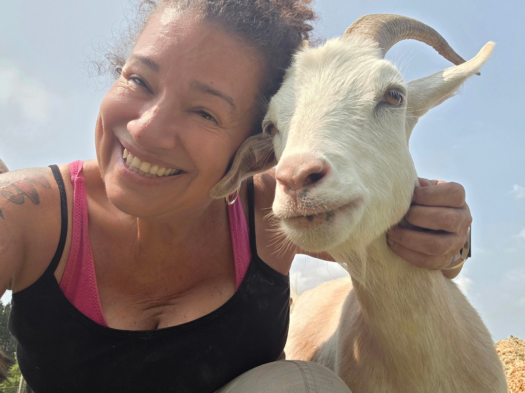 Bella Acres Farm And Animal Sanctuary-Walden必去景点