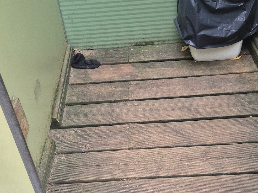 Steinerbos-Stein必去景点