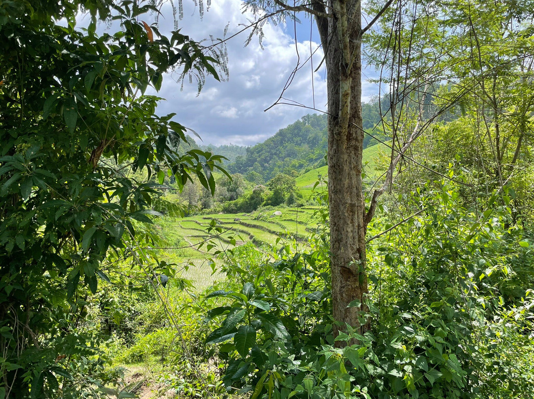 Trekking Collective Co - Private Day Tours-清迈必去景点