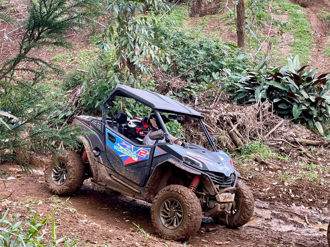 Crazy Adventures Réunion-Mont-Vert les Hauts必去景点