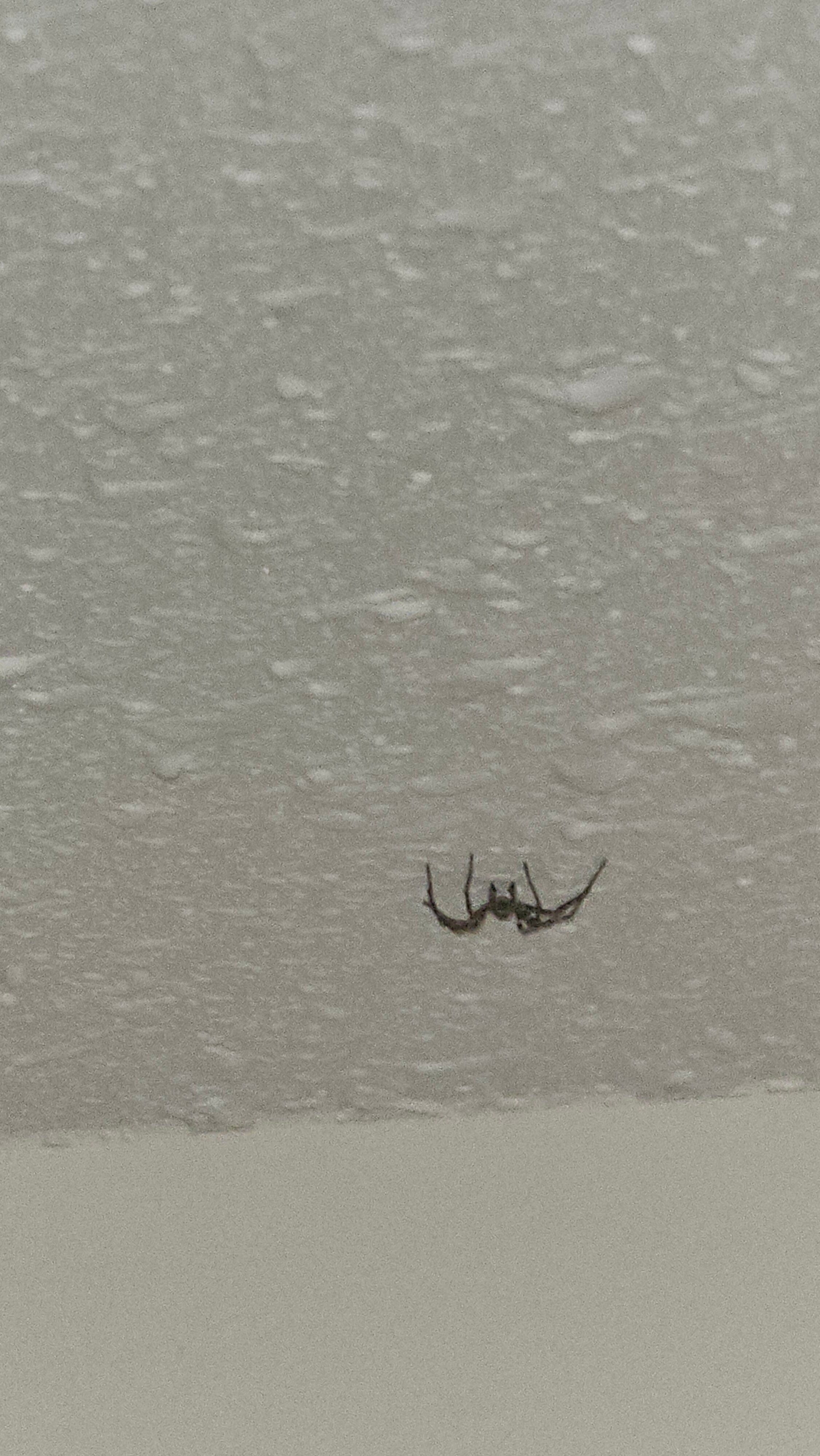 Inuvik Capital Suites-官方