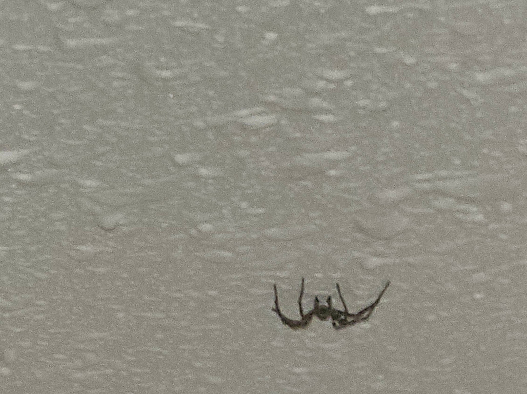 Inuvik Capital Suites主图