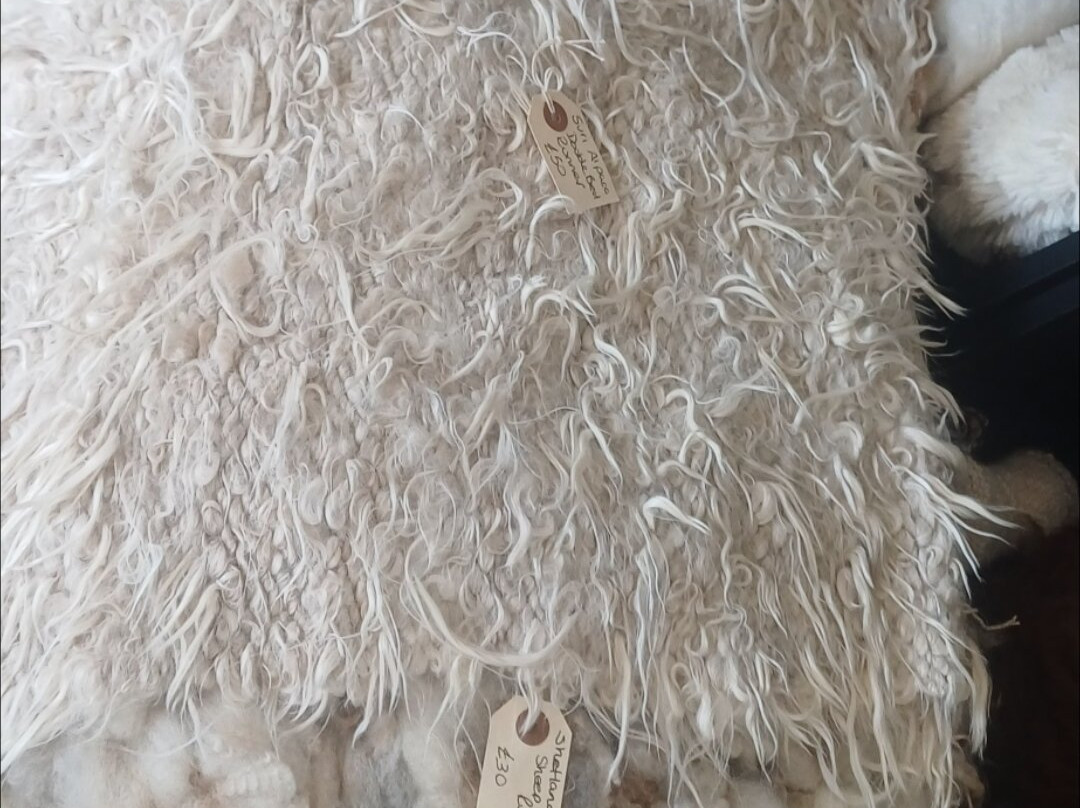 Millburn Alpacas-New Cumnock必去景点