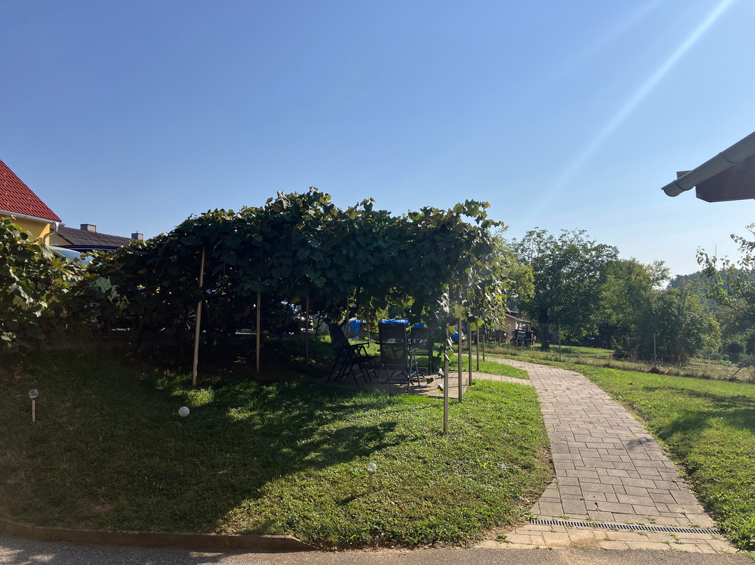 Golf & Therme Sonnenpension Hotel Garni - Burgauberg主图