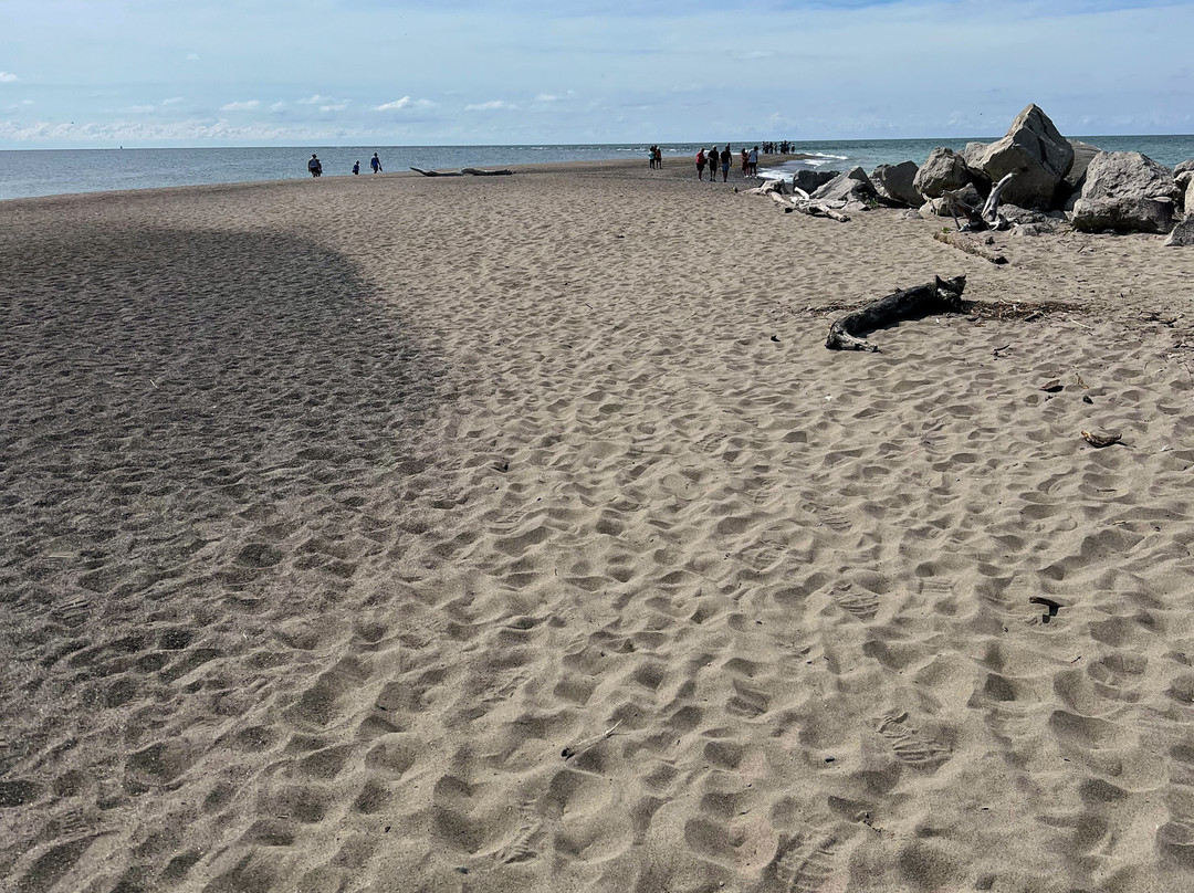 Point Pelee National Park-利明顿必去景点
