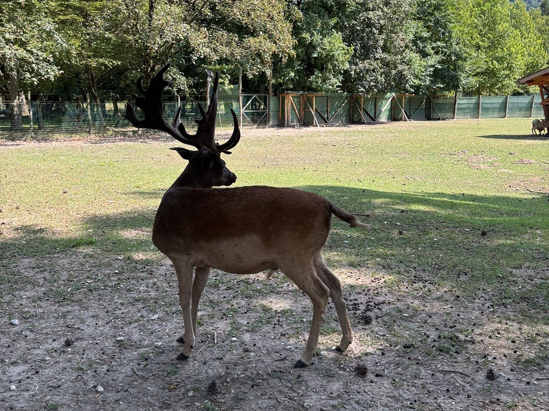 Riserva Naturale Vincheto di Celarda-Celarda必去景点