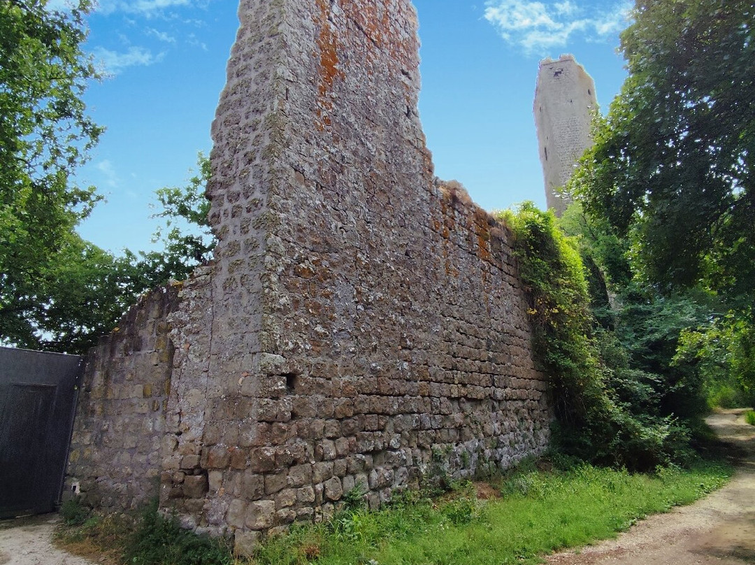Parco delle Cascate di Chia del Fosso Castello-Chia必去景点