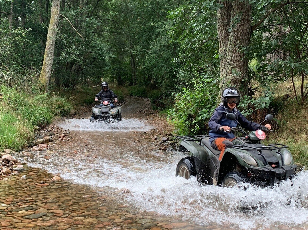 Quad Bike Treks-阿维莫尔必去景点