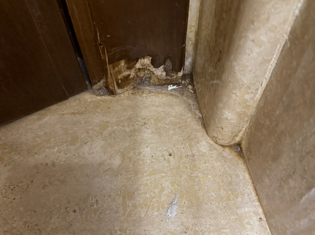 巴亚威德酒店主图